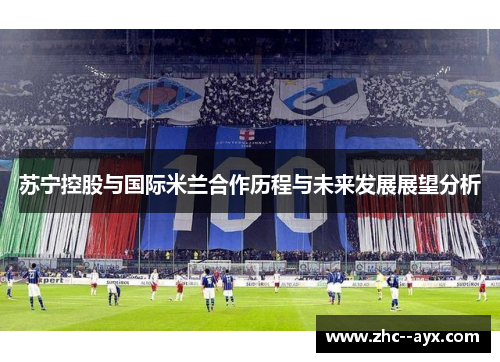 苏宁控股与国际米兰合作历程与未来发展展望分析